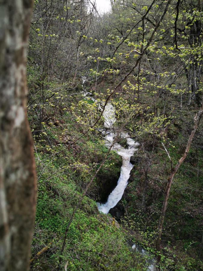 Teghut Hotel Vanatun, Haghartsin Monastery מראה חיצוני תמונה